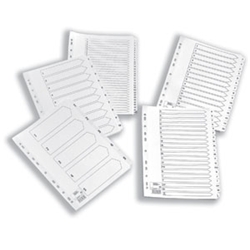 Premier Index Mylar 1-25 A4 Clear Ref