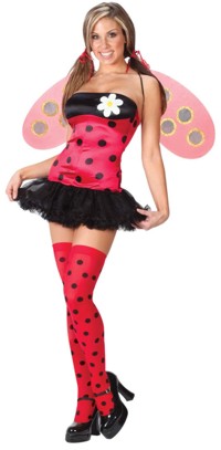 Costume: Sexy Lady Bug - Small/Medium