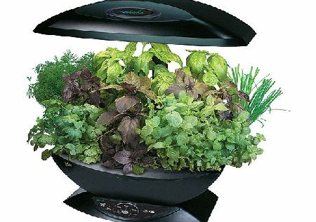 Garden Pod - Expert Gardener