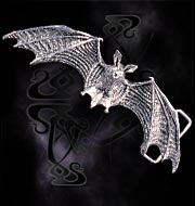 Nocturnus Buckle