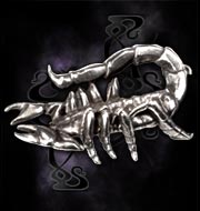 Noxius Buckle