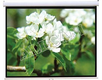 PCW80MM 80`` HD Projector Screen 16:9 Widescreen Matte White Manual