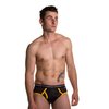 sports mesh brief