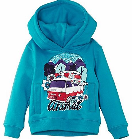 Girls Renatta Hoodie, Blue (Dark Turquoise), 13 Years (Manufacturer Size:Large)