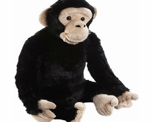 Planet 18` Large Plush - Chimpanzee