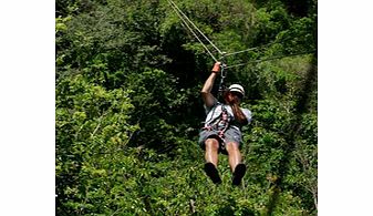 Rainforest Canopy Adventure - Adult