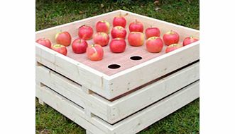 APPLE Tray