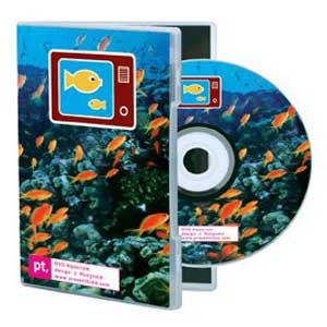 rium DVD