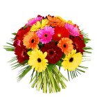 Gerbera Bouquet