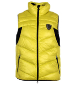 EA7 Straw Yellow Padded Gilet