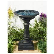 on demand birdbath