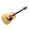 D27 Dreadnought Acoustic Guitar