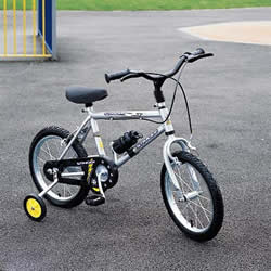 14ins Stinger Boys Bicycle