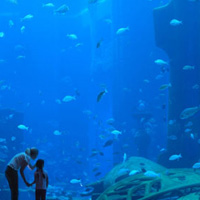 Atlantis The Palm - Aquaventure