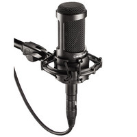 Audio Technica AT2035 Condenser Mic