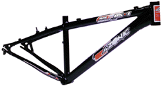 Azonic DS1
