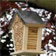 Bamboo Bee House