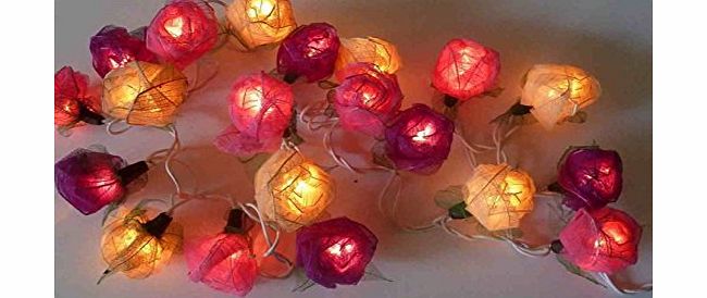 Banlon Old English Pink Mixed Colour Rose Fairy Light String