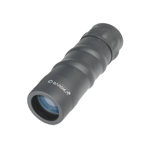 Style Monocular