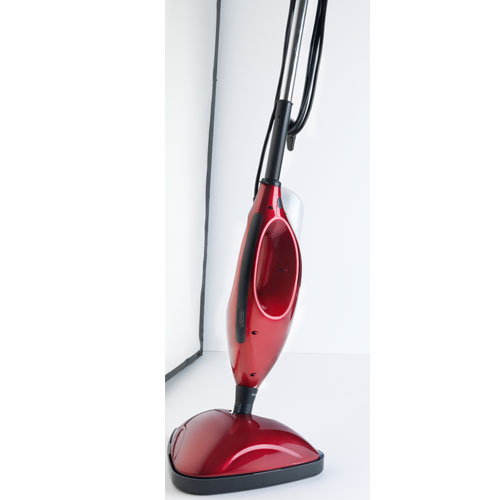 2 in 1 Steam Mop