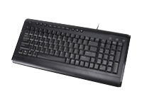 I300MM PS/2 MULTI MEDIA KEYBOARD BLACK