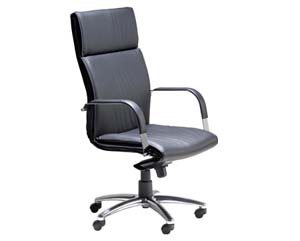 executive leather chair