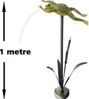 Bermuda Flying Frog Pond Spitter