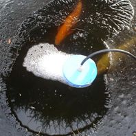 Bermuda Pond Heater 150