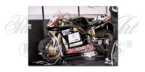 Bike 1:12 Scale Ducati 998RS - D. Garcia -