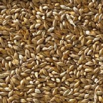 Bucktons Best Barley Pigeon Seed 20kg