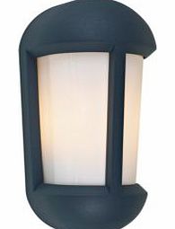 Leucus Dark Blue External Wall Light