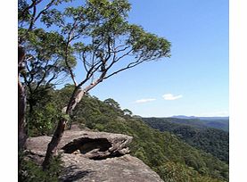 Mountain 4WD Wildlife Discovery - Infant