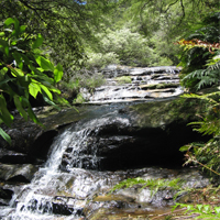 Blue Mountains and Wildlife Park