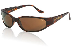 Coachwhip Eyewear