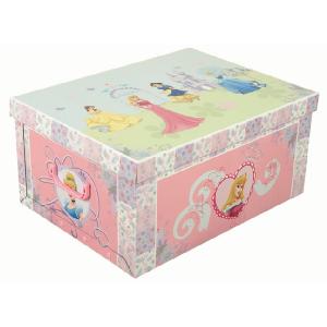 Disney Princess Medium Card Storage