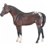 My Favorite Horse Appaloosa