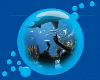 Brighton SEA LIFE Centre - Special Offer Senior