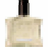 Brut Alaska Eau de Toilette Spray 100ml