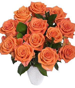 12 Orange Roses FORR