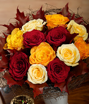 Autumn Roses FAROS