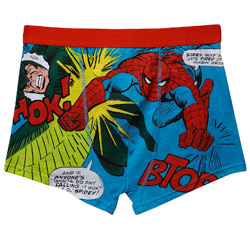 1 Pair Spiderman Print Trunk