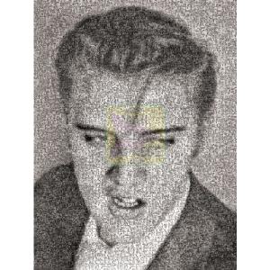 Photomosaics Elvis 3 1000 Piece Jigsaw Puzzle