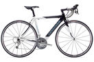 Synapse Carbon 105 Women` 2008 Road Bike