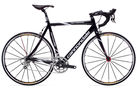 Synapse Carbon SL Dura Ace 2008 Road Bike