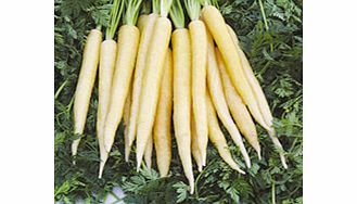 carrot Creme De Lite F1 Seeds