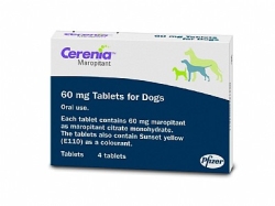 Tablets:4x60mg