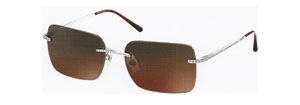 4101b Sunglasses