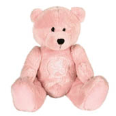 Sam Beany Bear - Pink.