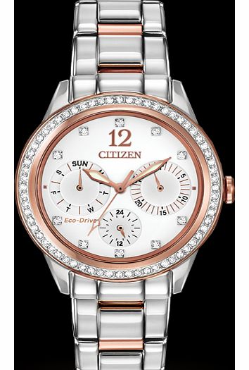 Ladies Watch FD2016-51A