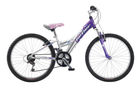 Claud Butler Banshee 24 2008 Kids Bike